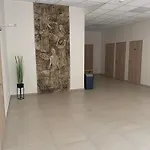 מלון Hotel Manetin Manetin